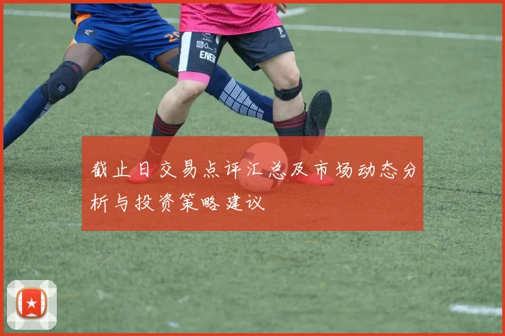 截止日交易点评汇总及市场动态分析与投资策略建议