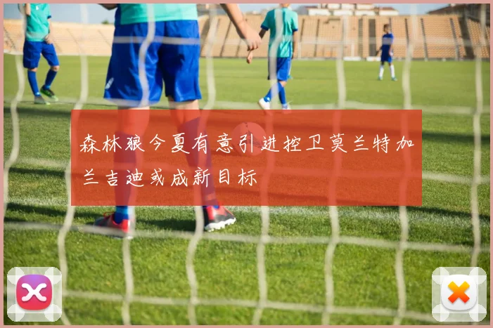 森林狼今夏有意引进控卫莫兰特加兰吉迪或成新目标